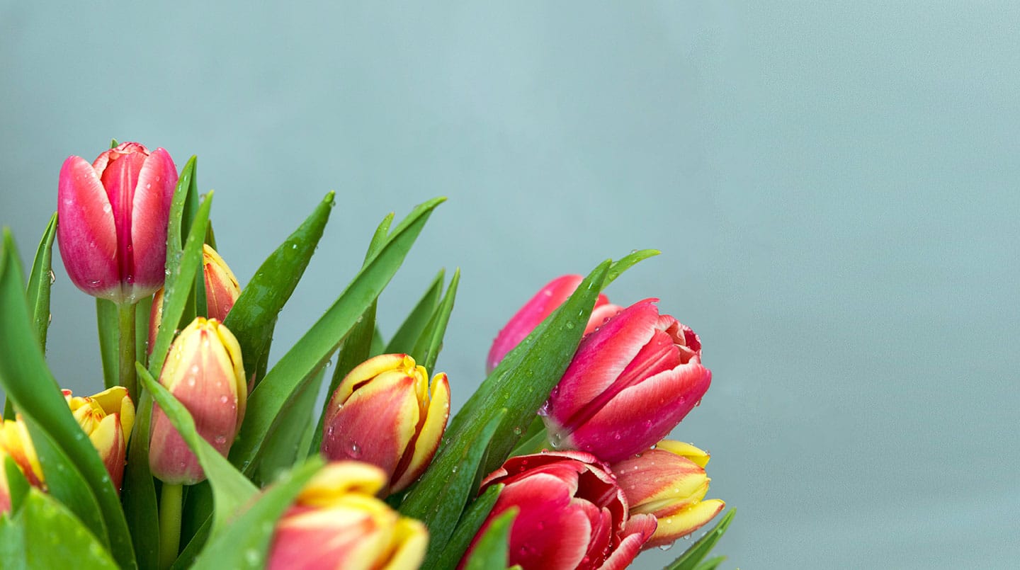 Planning the Perfect Mother’s Day with the Right Flowers