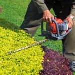 Hedge Trimming Basics: How to Keep Your Garden Looking Sharp