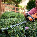 What to Expect from a Professional Hedge Trimming Service