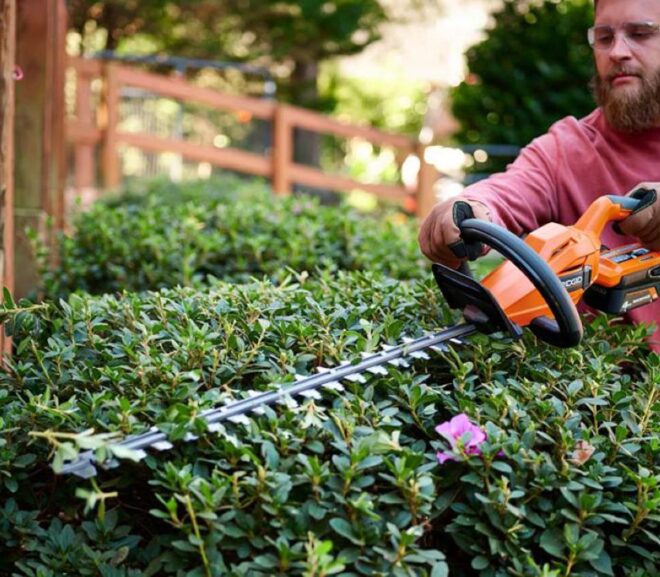 What to Expect from a Professional Hedge Trimming Service