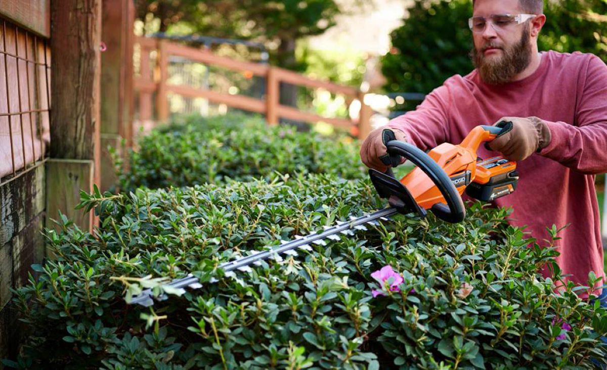 What to Expect from a Professional Hedge Trimming Service