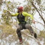 Why Experienced Arborists North Shore Residents Trust Matter