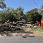 Emergency Tree Removal St Ives: Fast Action After Storm Damage