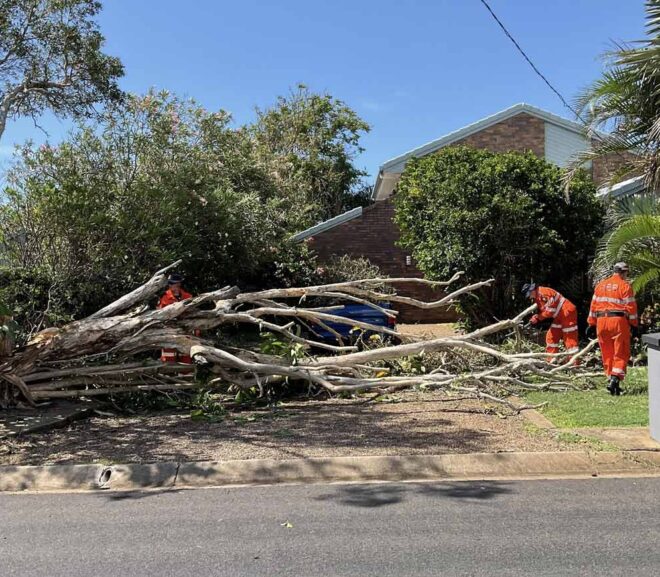 Emergency Tree Removal St Ives: Fast Action After Storm Damage